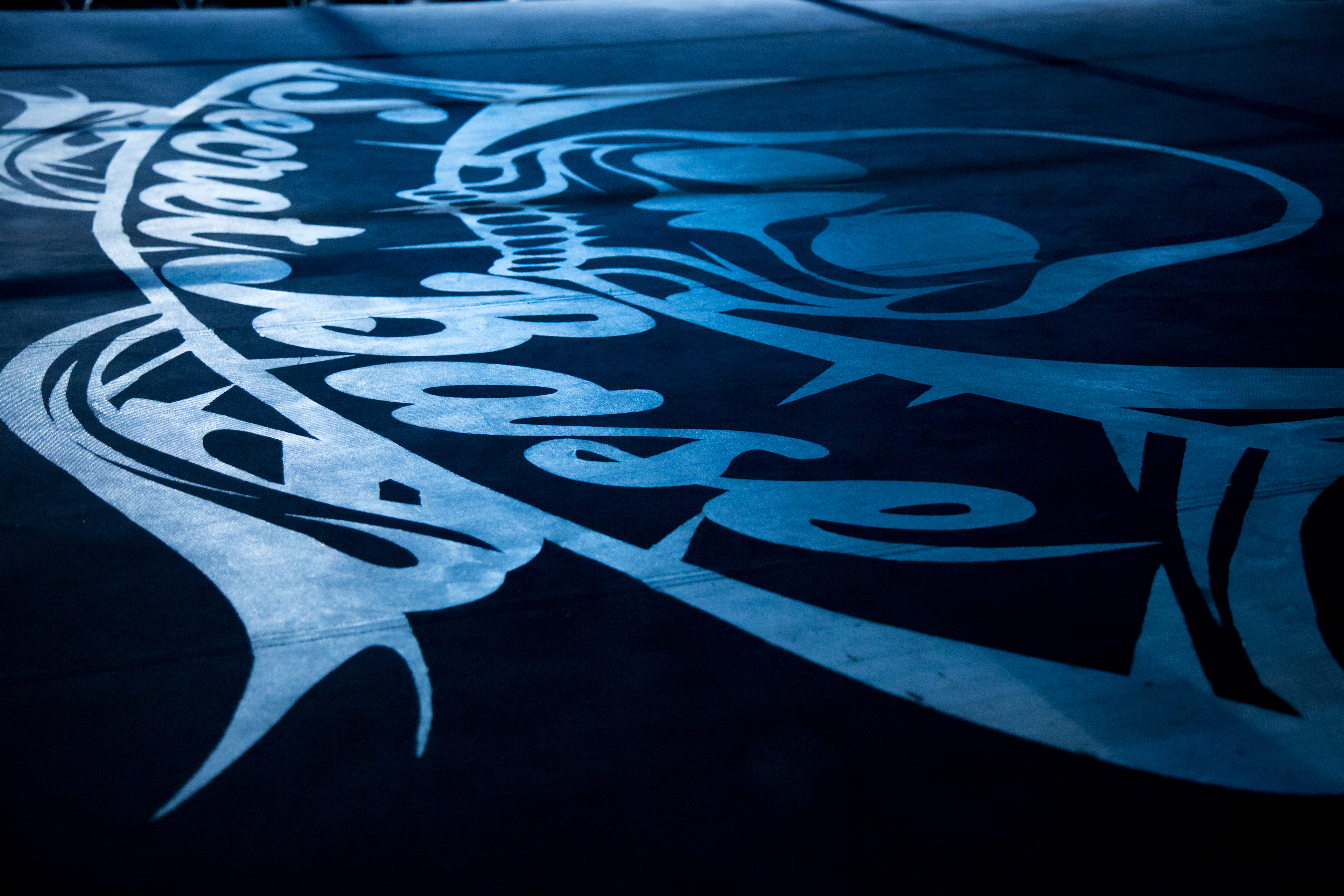 プロレスリング・シークレットベースでは練習生を募集しております。